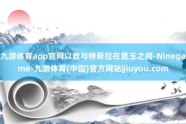 九游体育app官网以致与特斯拉在昆玉之间-Ninegame-九游体育(中国)官方网站|jiuyou.com