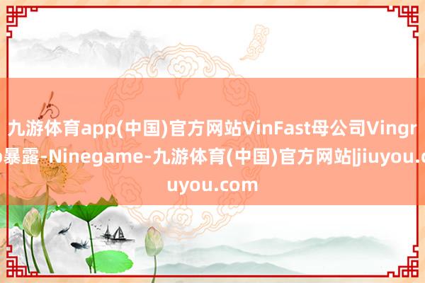 九游体育app(中国)官方网站VinFast母公司Vingroup暴露-Ninegame-九游体育(中国)官方网站|jiuyou.com