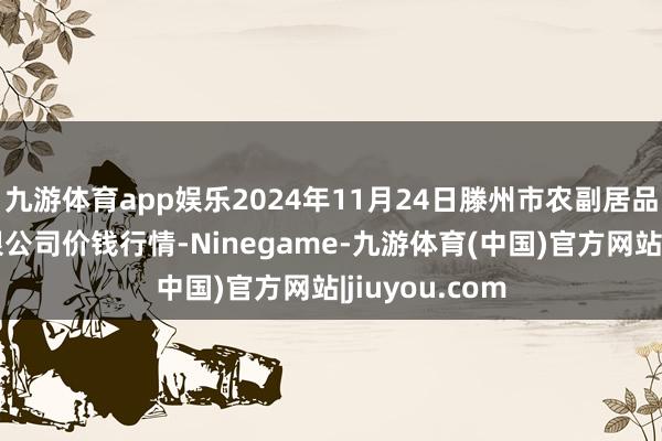 九游体育app娱乐2024年11月24日滕州市农副居品物流中心有限公司价钱行情-Ninegame-九游体育(中国)官方网站|jiuyou.com
