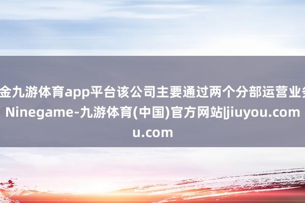 现金九游体育app平台该公司主要通过两个分部运营业务-Ninegame-九游体育(中国)官方网站|jiuyou.com