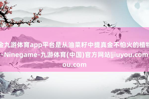 现金九游体育app平台是从油菜籽中提真金不怕火的植物油-Ninegame-九游体育(中国)官方网站|jiuyou.com